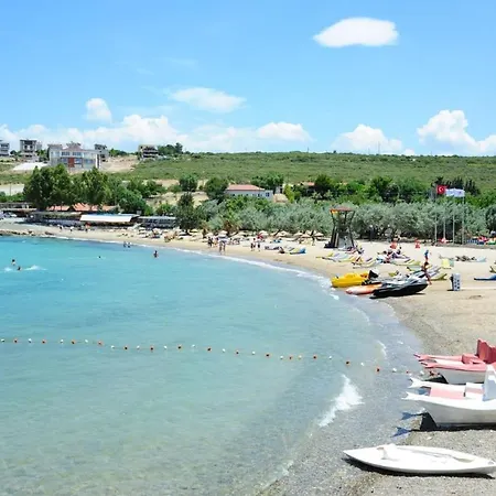 Siğacik Olıve