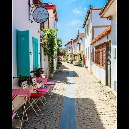 Siğacik Olıve