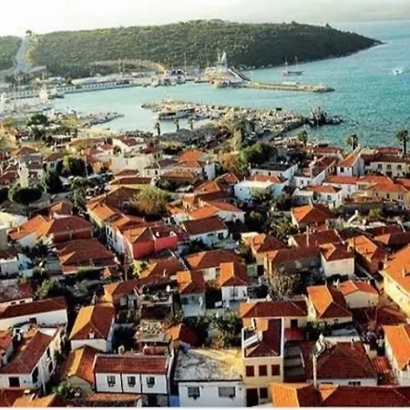 Sigacik Olive * İzmir