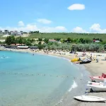 Sigacik Olive