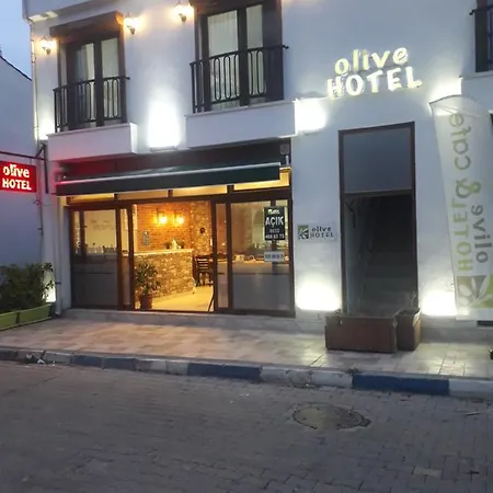 Sigacik Olive *