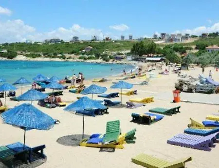 Sigacik Olive Izmir