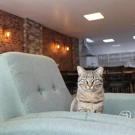 Sigacik Olive ホテル