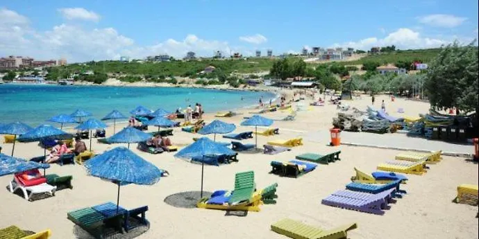 Sigacik Olive İzmir