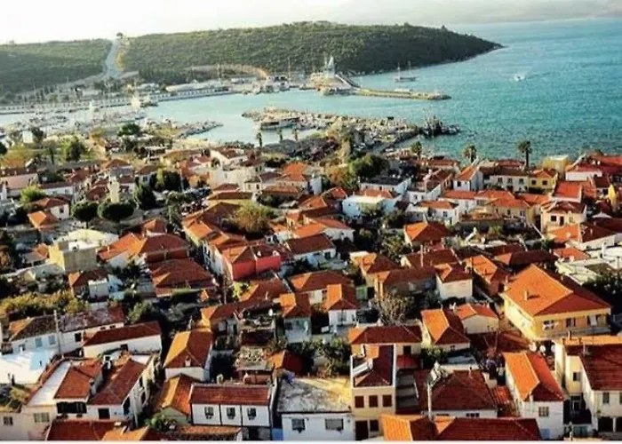 Sigacik Olive * İzmir